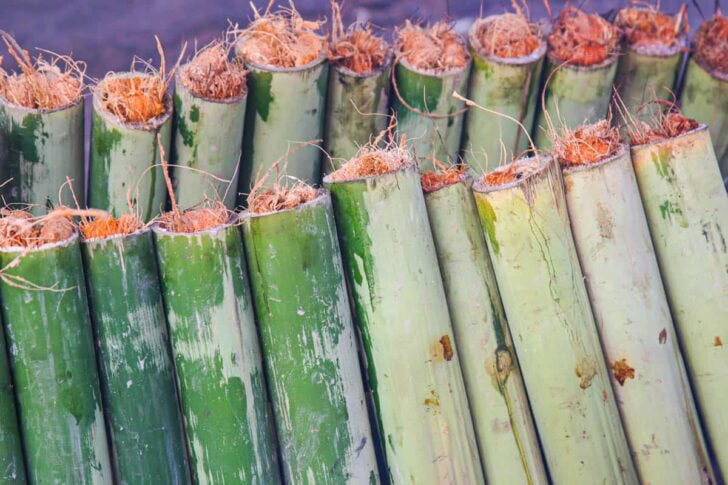 Sticky rice in bamboe