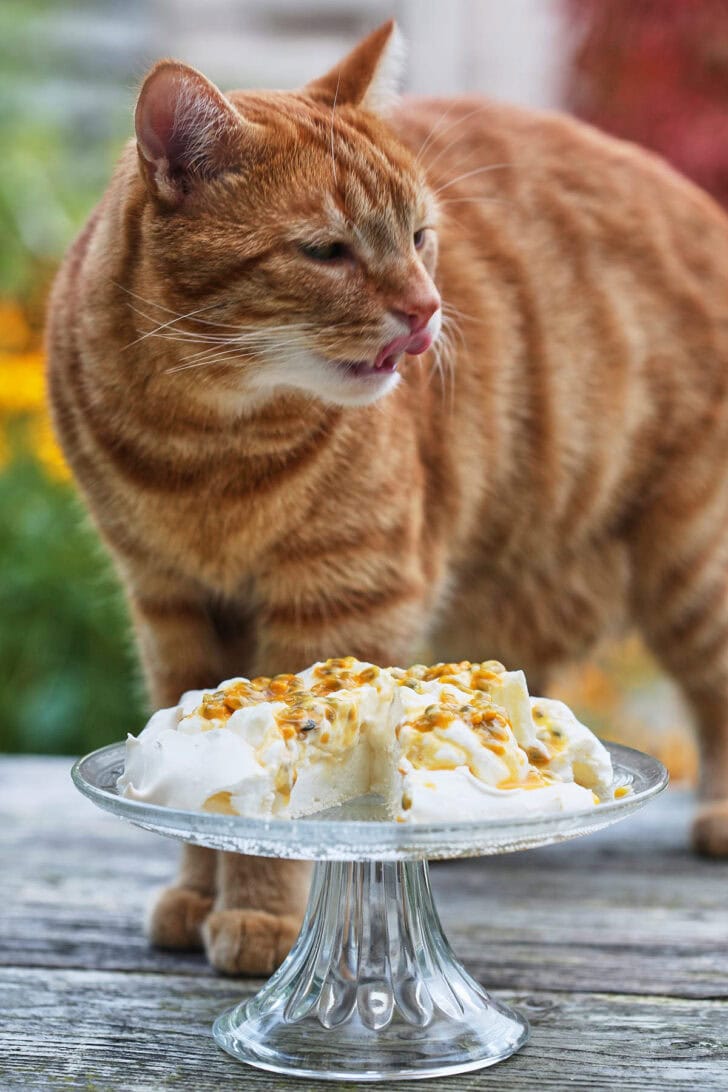 Humphrey laat het hem smaken