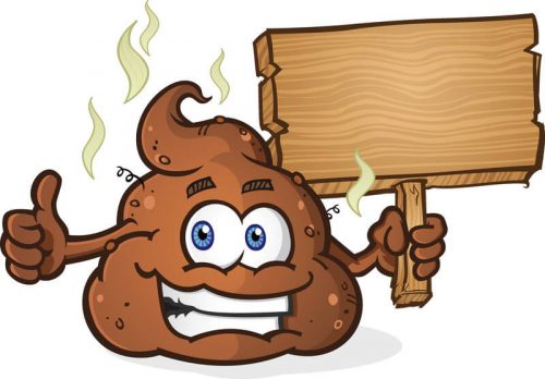 Fatsoensnormen