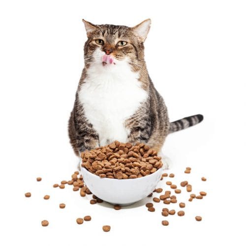 canstockphoto33192931