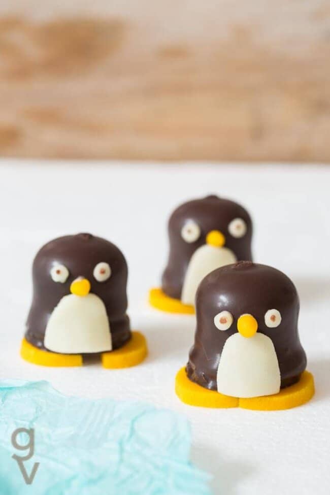 pinguins van chocozoenen