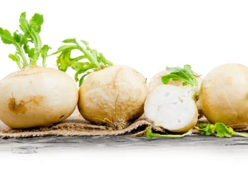 canstockphoto28383364