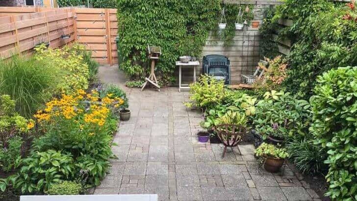 Nieuwe tuin