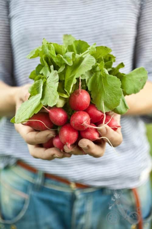 De officiele regels van de whole 30 | simoneskitchen.nl