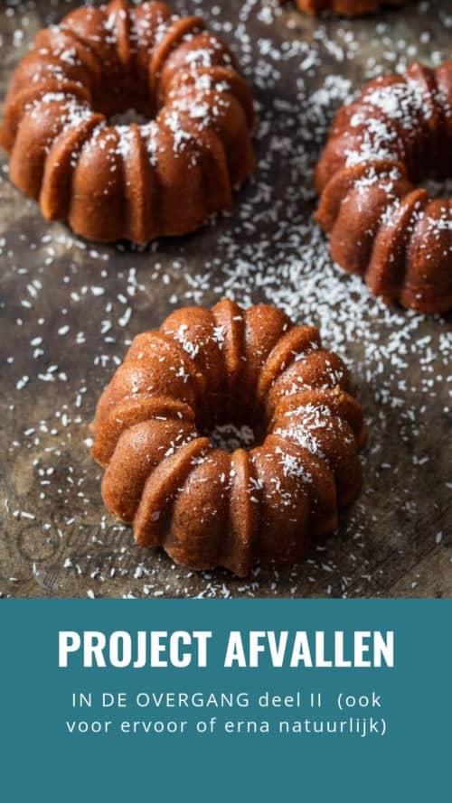 Project afvallen II