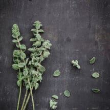 Recepten met oregano
