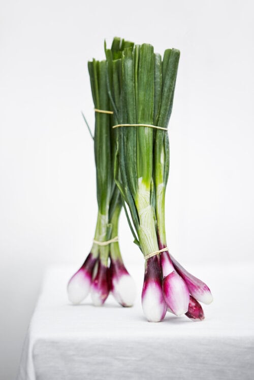 Wat is het verschil tussen lente ui of bosui