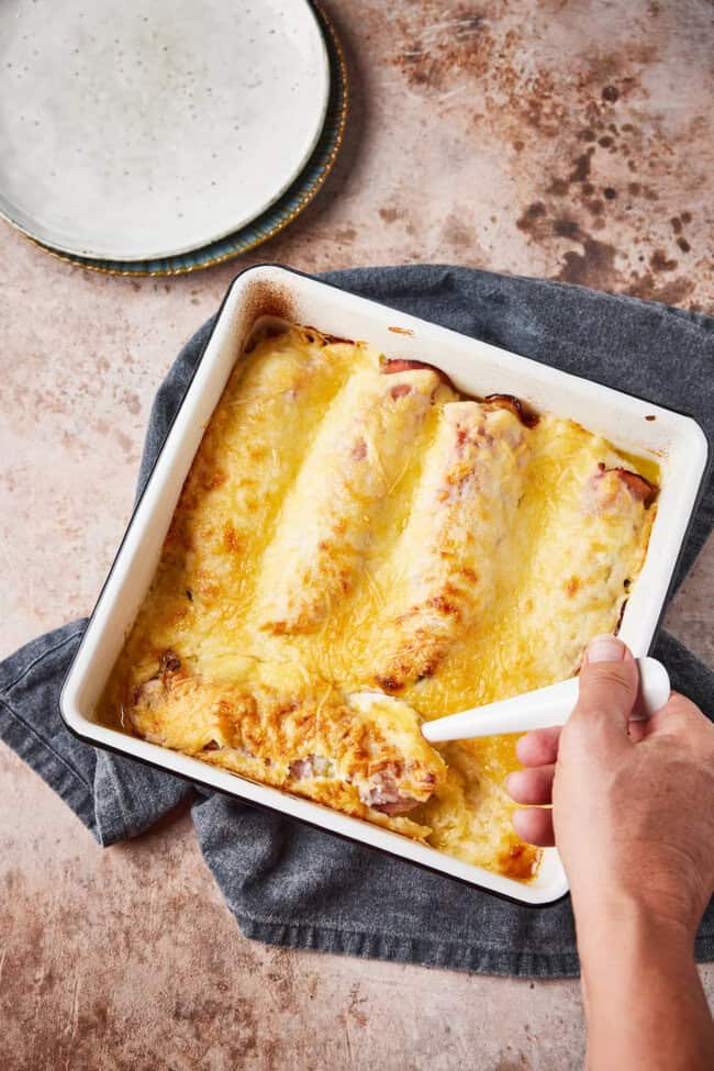 Witlof met ham en kaas