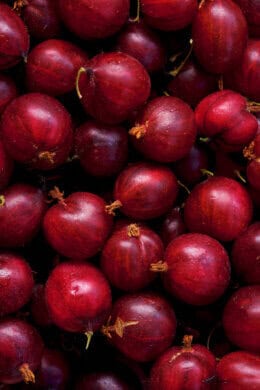 Recepten met kruisbessen