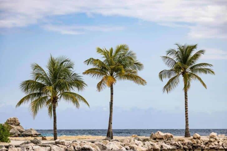 Restaurants op Curacao