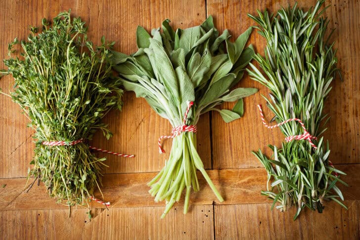 Hoe fotografeer je bladgroente