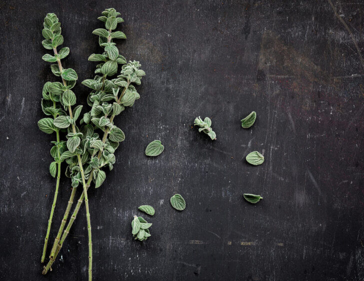 Hoe fotografeer je bladgroente