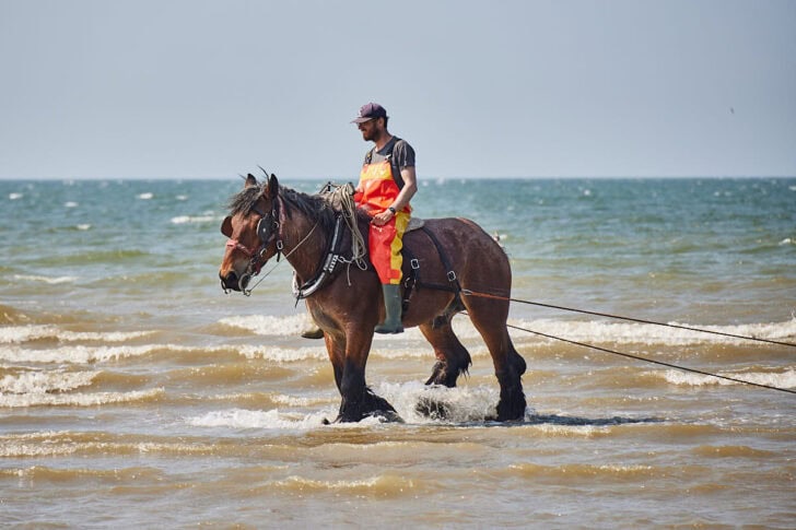 Oostende garnalenvissers