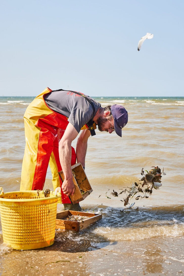 Garnalenvissers te paard oostduinkerk