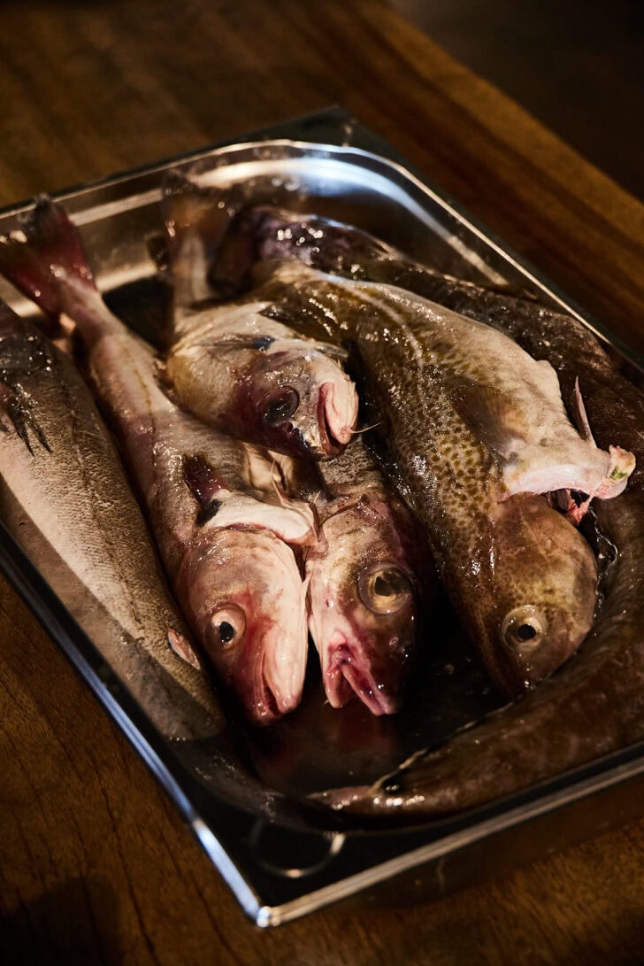 Onbekendere vissoorten