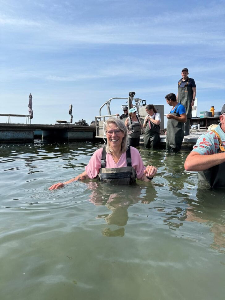 Oostende MB oesterput 2