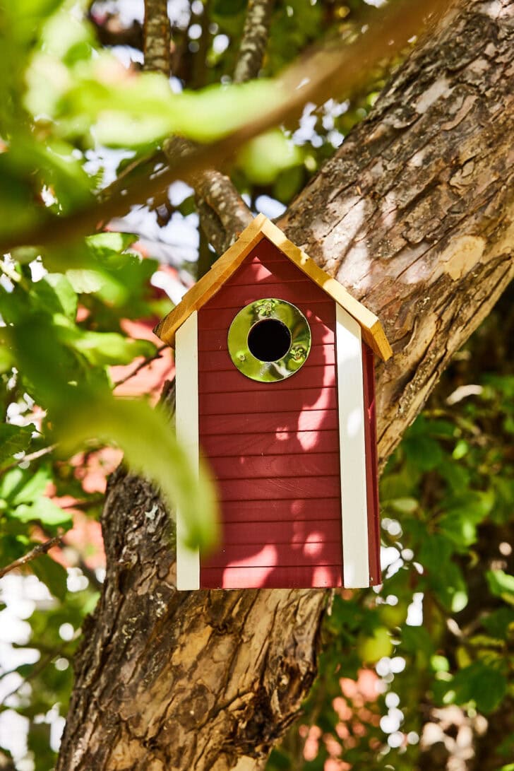 Het zweedse nest